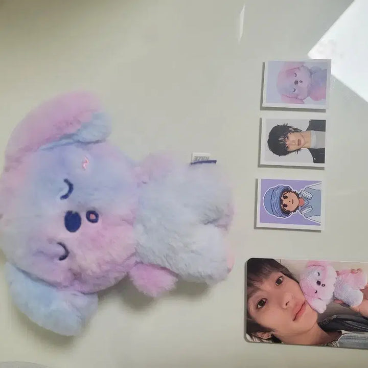 [BUNJANG] RIIZE Anton Mirage B Doll (Full Set, Photocard Included) / 앤톤 미라지B 인형(풀셋o/포카,증사o/건전지o)