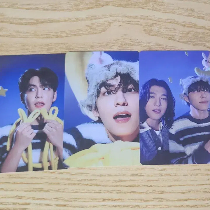 [BUNJANG] Day6 Concert Trading Card Wonpil Bundle Set / 일괄) 데이식스 클콘 트레카 원필