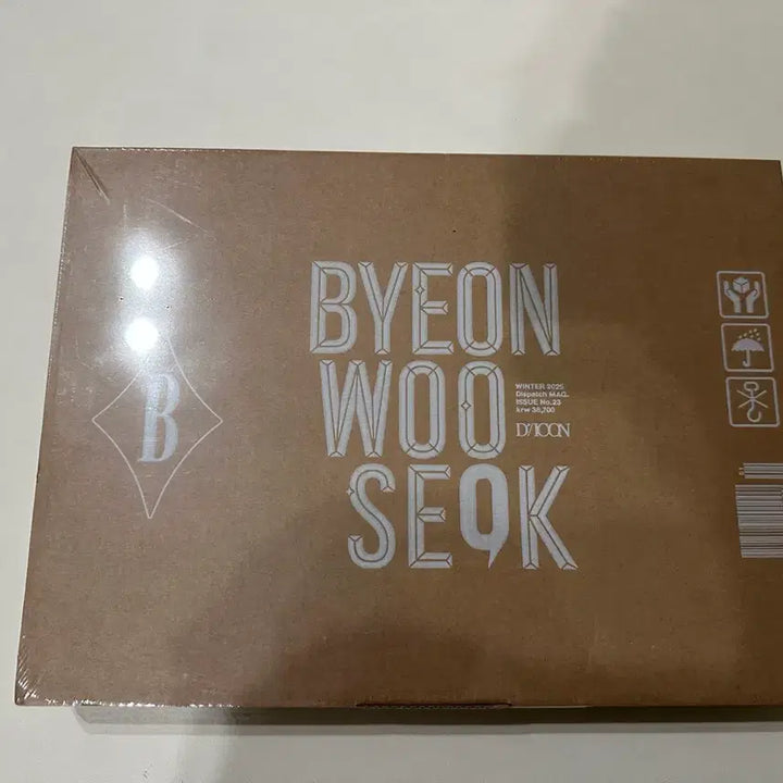 [BUNJANG] Byeon Woo Seok D Icon B Type Photocard Set (Sealed) / 변우석 디아이콘 D/ICON 미개봉 B타입