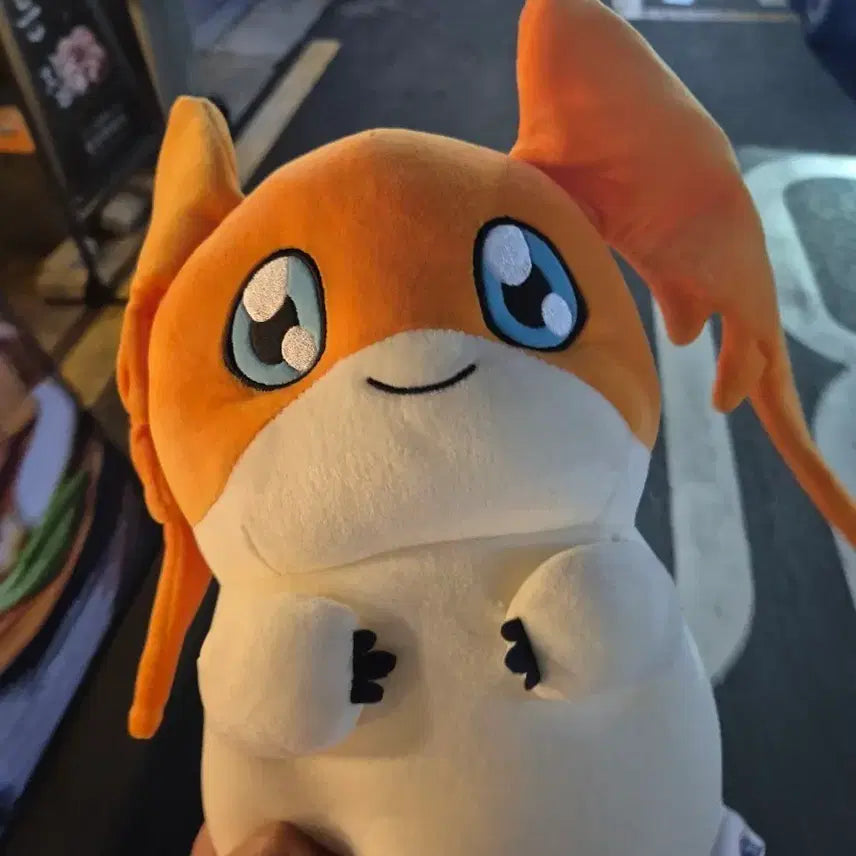 [BUNJANG] Digimon Patamon Plush Doll / (공간정리 오늘만특가)디지몬 파닥몬 인형 정품