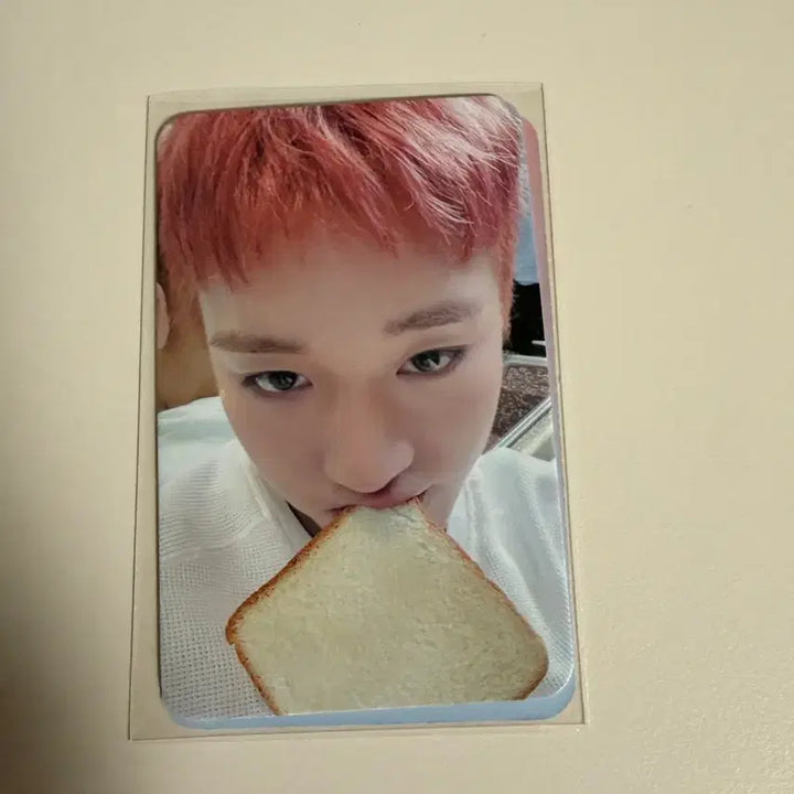 [BUNJANG] MUDO K-Pop Park Jihoon Reflection Bread Photocard POB (Sealed) / 뮤앤드 박지훈 미공포 당일배송 미개봉 식빵포카 리플렉션
