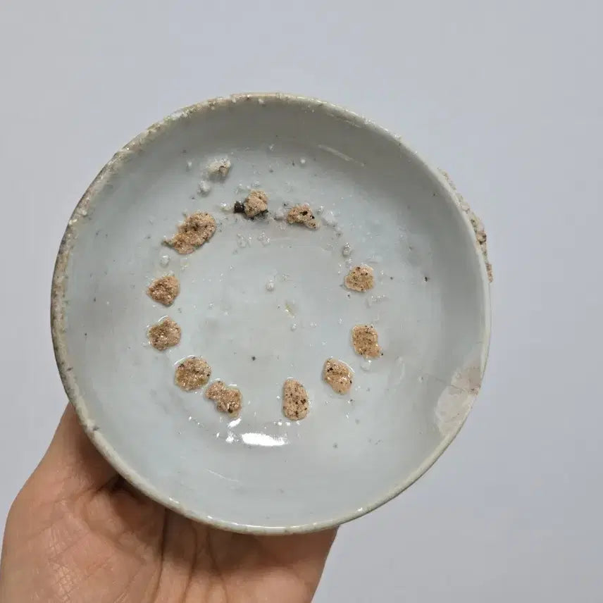 [BUNJANG] Authentic Joseon Dynasty White Porcelain Plate Antique / 진품 조선후기 백자 접지 골동품