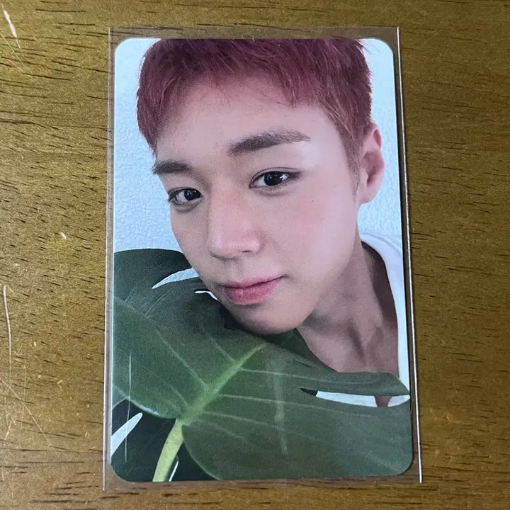 [BUNJANG] Park Ji Hoon Music Bank Studio Live Photocard / 박지훈 뮤직뱅크 뮤뱅 공방 포카