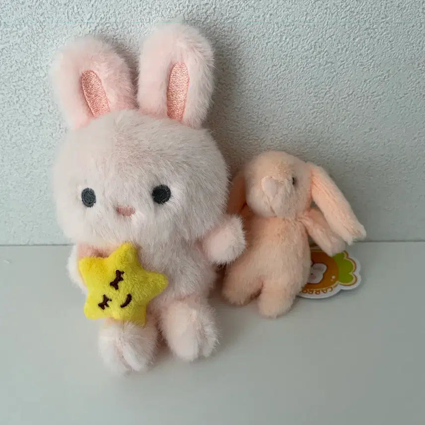 [BUNJANG] Pink Rabbit Plush Keychain Set / 핑크 토끼 인형 키링세트