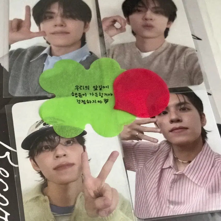 [BUNJANG] DAY6 Wonpil Solo Concert MD Photocard Bundle Set / 데이식스 원필 솔콘 엠디 4만원 포카 일괄