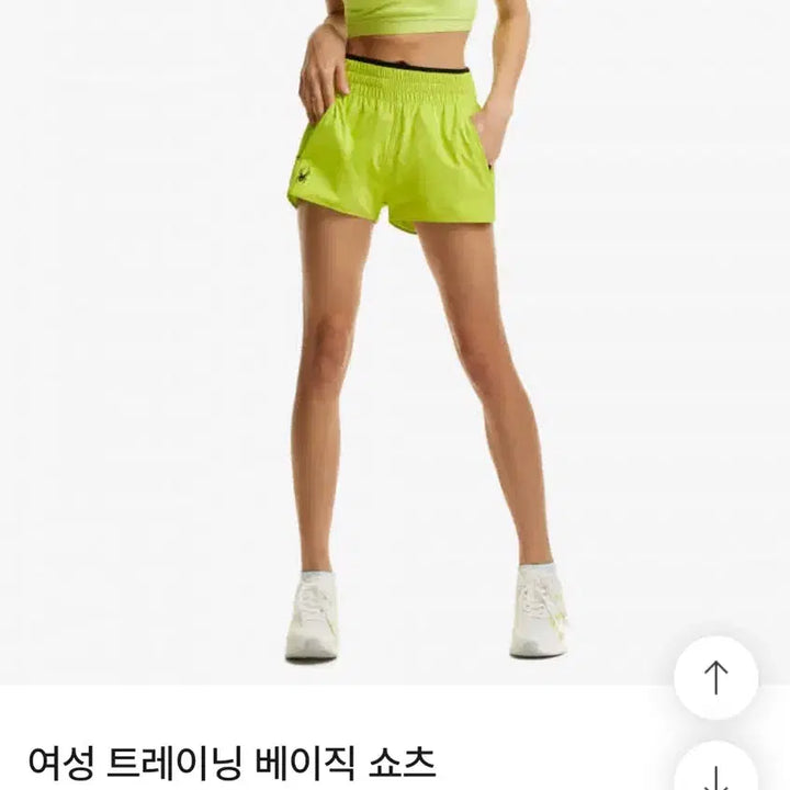 [BUNJANG] Spider Fluorescent Training Bottoms / 스파이더 형광 트레이닝복 하의