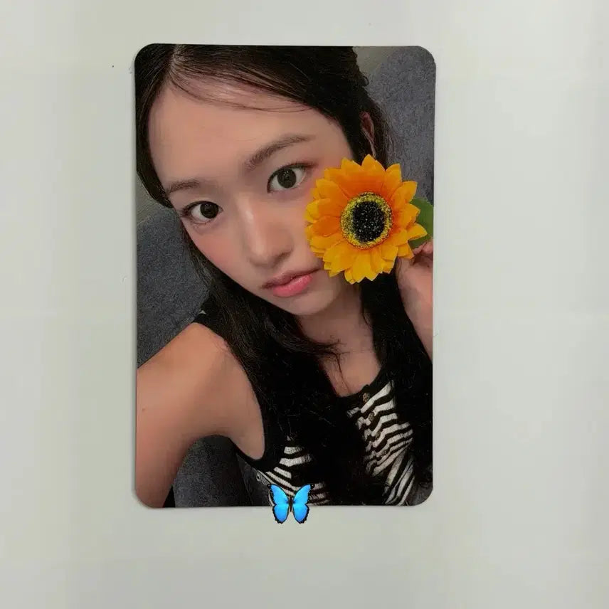 [BUNJANG] IVE Yujin Music Secret Photocard POB / 아이브 큐큐 음악 뮤직 시크릿 포카 미공포 안유진