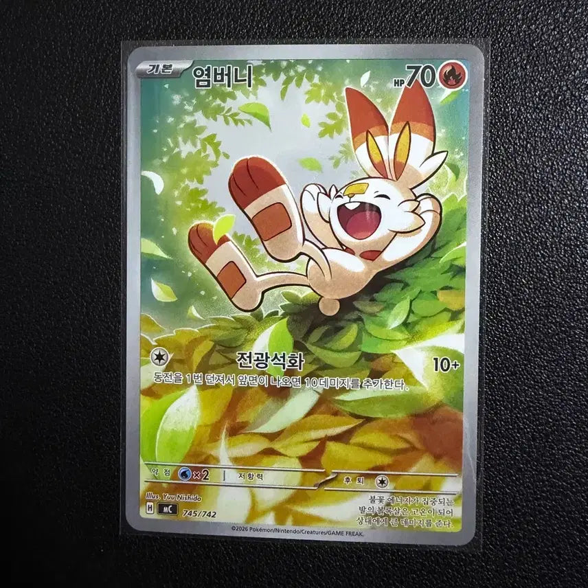 [BUNJANG] 100 Card Deck Bundle: Yamberni, Eecheet, Jjiruhawk, Mega Dabuni, Popunira / 100덱 ar sr5종 일괄 염버니 입치트 찌르호크 메가다부니 포푸니라