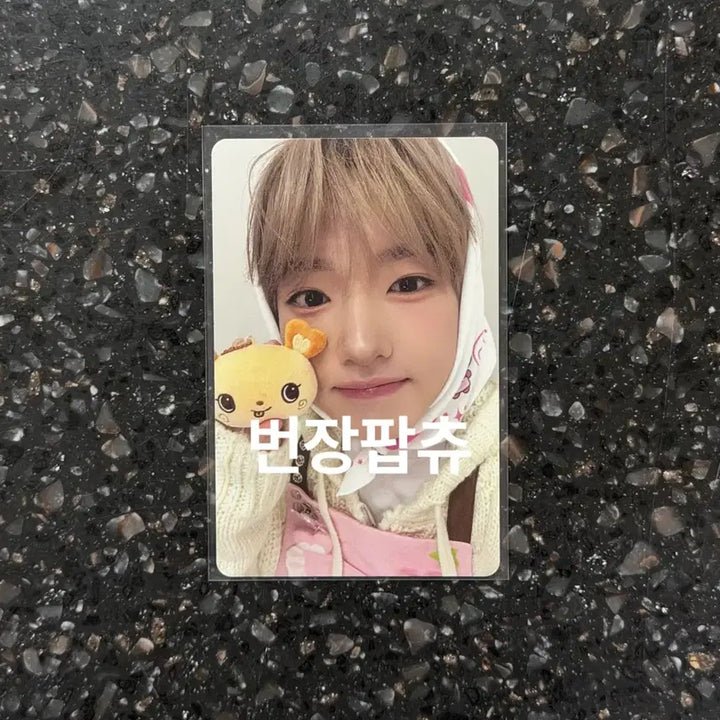 [BUNJANG] NCT WISH Sakuya Wish Bakery Photocard / 엔시티위시 위시베이커리 7만원 구매 포카 사쿠야