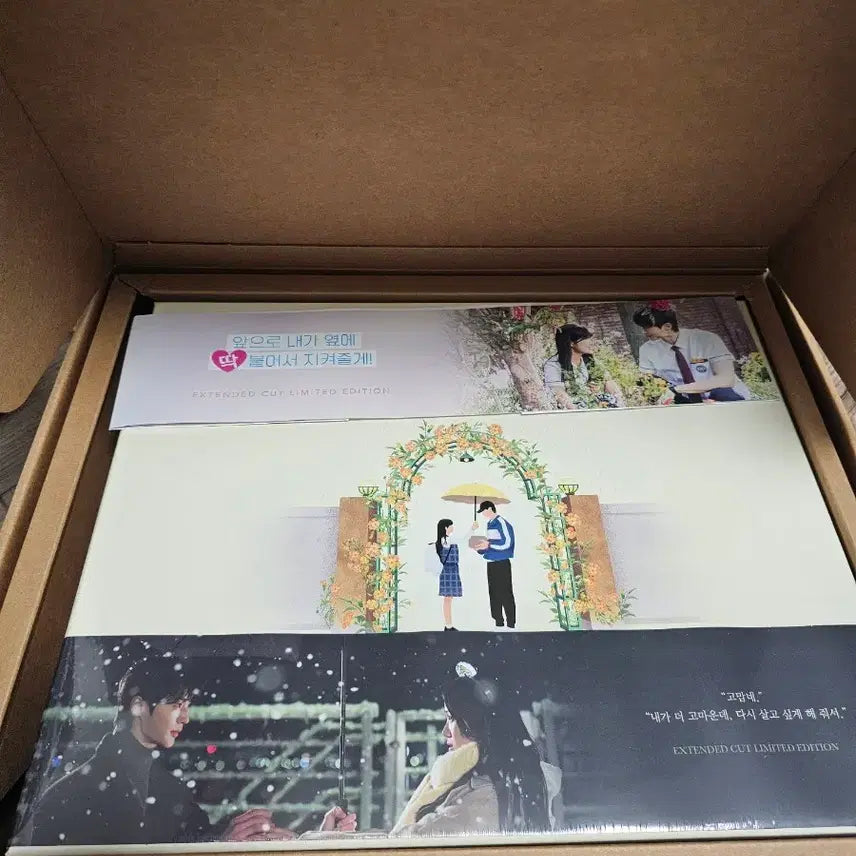 [BUNJANG] Lovely Runner EXTENDED CUT Limited Edition / 선재업고튀어 EXTENDED CUT 한정판