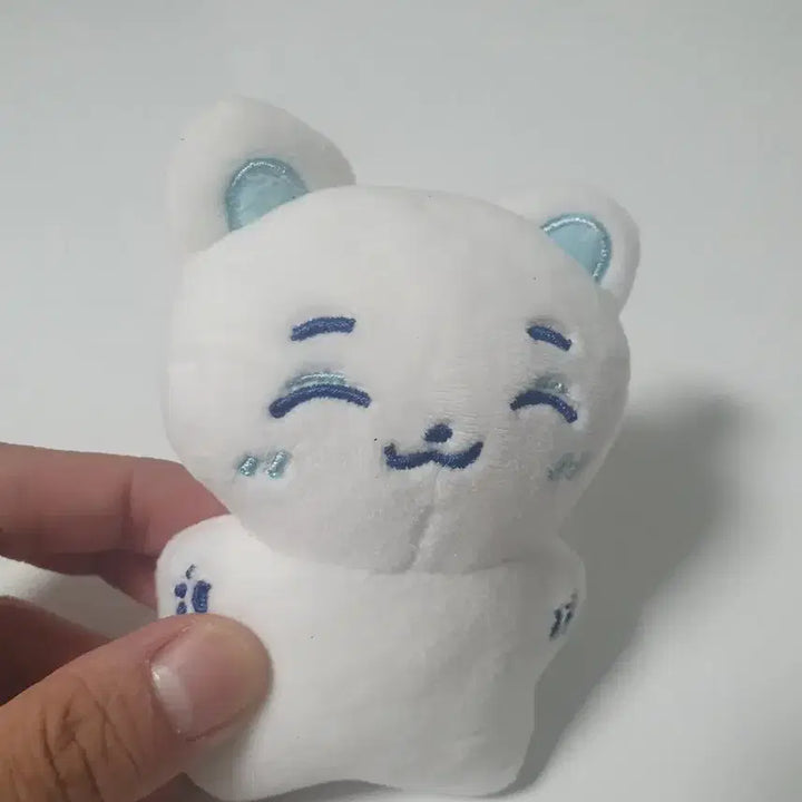 [BUNJANG] fromis_9 Baek Ji-heon Cat Plush Doll / 프로미스나인 백지헌냥이 인형