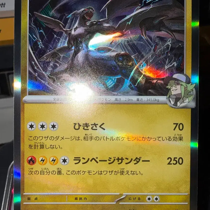 [BUNJANG] Japanese Edition N&