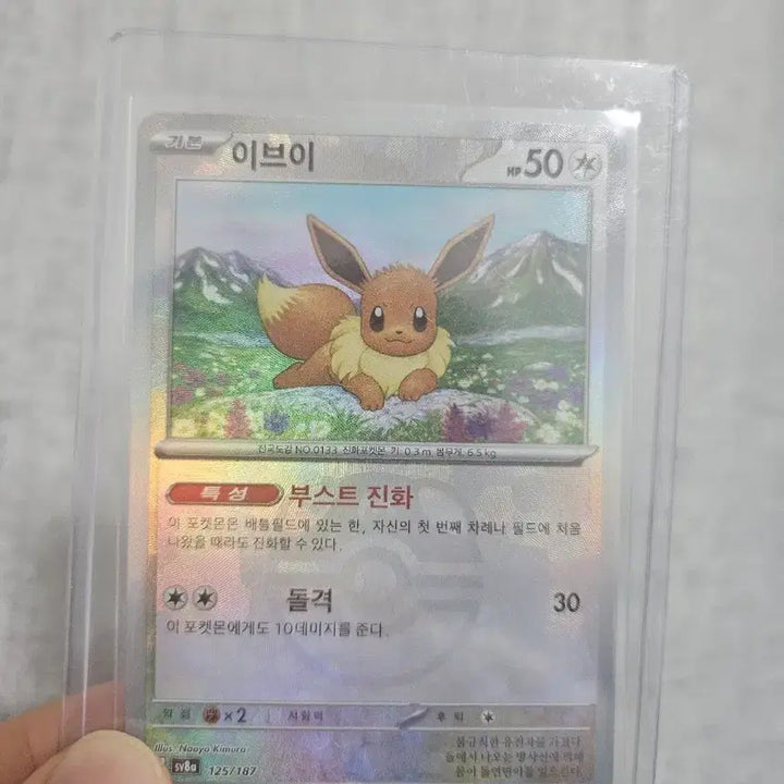 [BUNJANG] Pokemon Eevee Master Ball Card / 포켓몬 카드 이브이 마스터볼