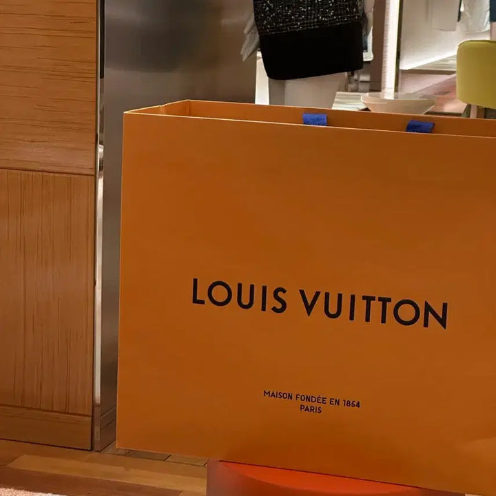 [BUNJANG] Louis Vuitton Shopping Bag (Large) / 루이비통 쇼핑백 (대)