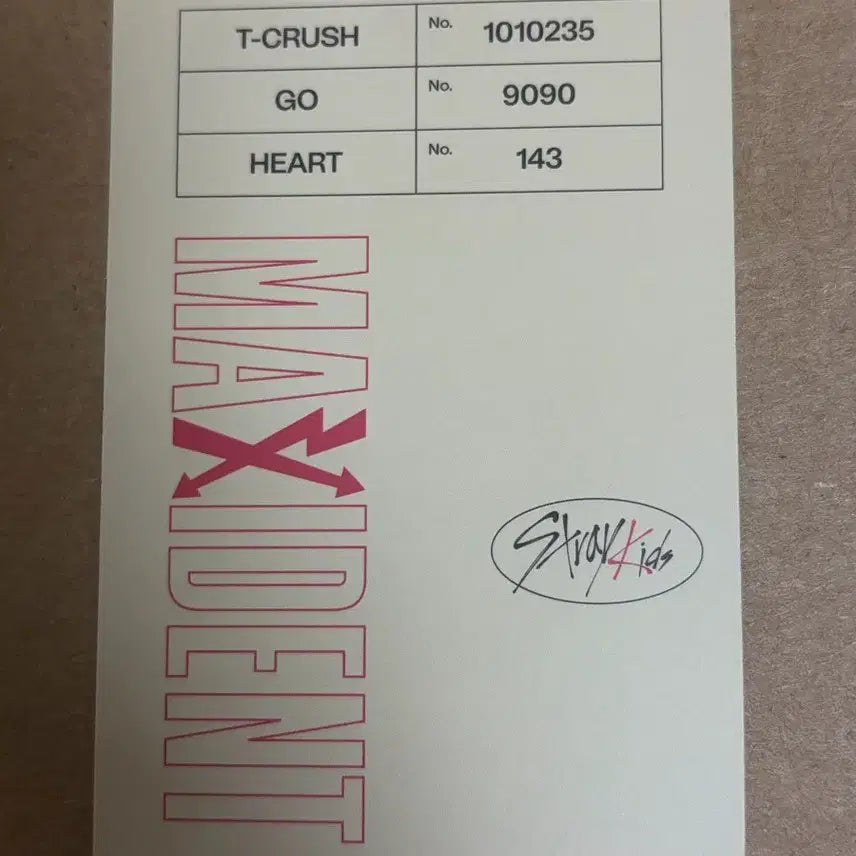 [BUNJANG] Stray Kids MAXIDENT Photocard / 스트레이키즈 MAXIDENT 포카
