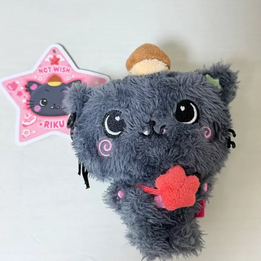 [BUNJANG] Wish Doll Kuri (No Outdoor Use) / 위시돌 쿠리(외출 하자x)