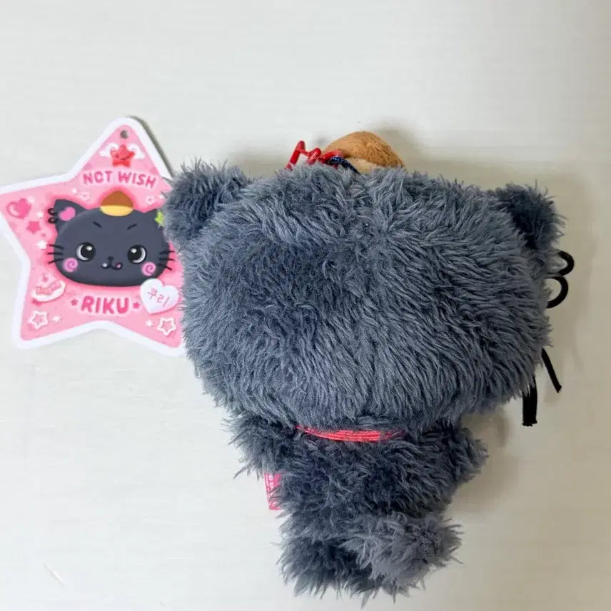 [BUNJANG] Wish Doll Kuri (No Outdoor Use) / 위시돌 쿠리(외출 하자x)