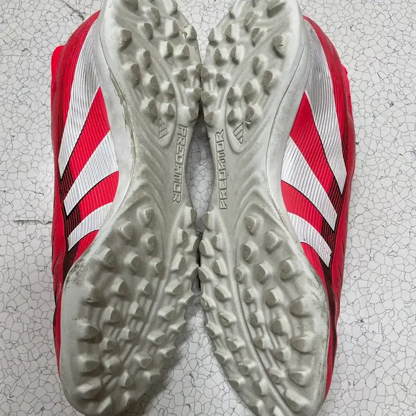 [BUNJANG] Adidas Predator Futsal Shoes Size 260 / 아디다스 260