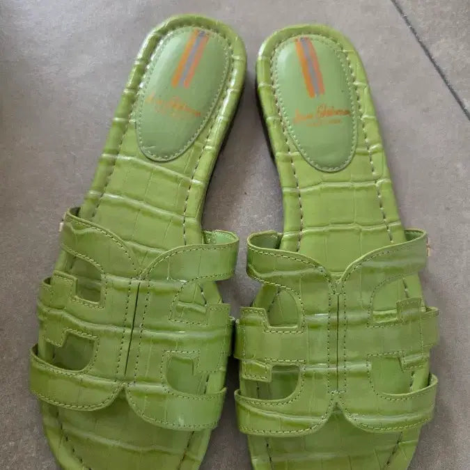 [BUNJANG] Sam Edelman Bay Pear Croco Slide Sandals (Lime Green) - US 7.5 / 245mm / 샘에델만 그린 크로커 샌들 슬리퍼 245