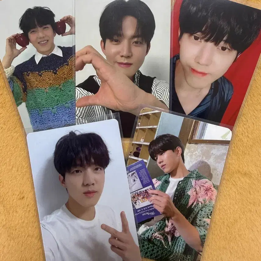 [BUNJANG] Day6 Dowoon Photocard Bundle Set (Well-Toh-Show 40,000 KRW POB Double-Sided Ball Heart Photocard, etc.) / 데이식스 도운 포카 일괄 (웰투쇼 4만원 특전 양면 볼하트 포토카드 등)