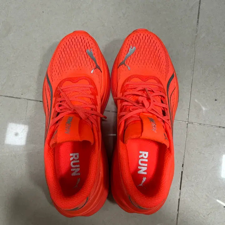 [BUNJANG] Puma MagmaX Nitro Running Shoes (275) / Puma 푸마 매그맥스 나이트로 275