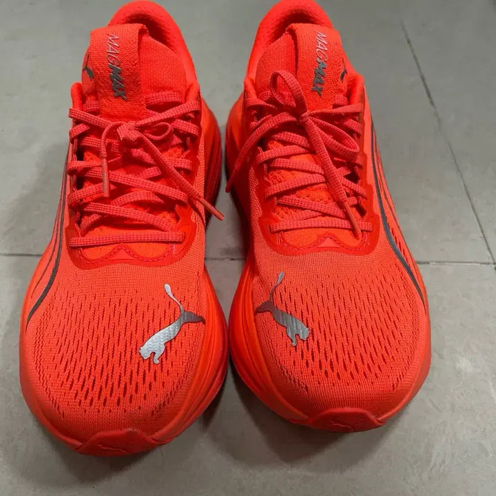 [BUNJANG] Puma MagmaX Nitro Running Shoes (275) / Puma 푸마 매그맥스 나이트로 275