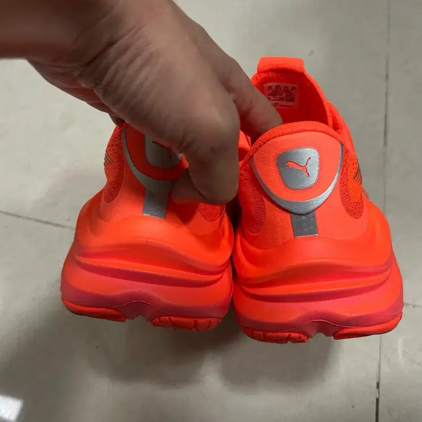 [BUNJANG] Puma MagmaX Nitro Running Shoes (275) / Puma 푸마 매그맥스 나이트로 275