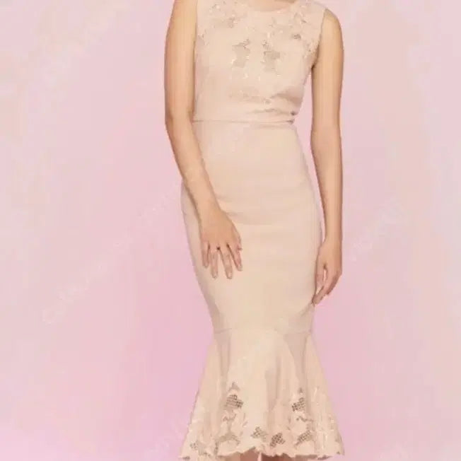 [BUNJANG] Fayewoo Lace Embroidery Mermaid Line Long Dress / fayewoo(페이우) 레이스 자수 머메이드라인 원피스 드레스
