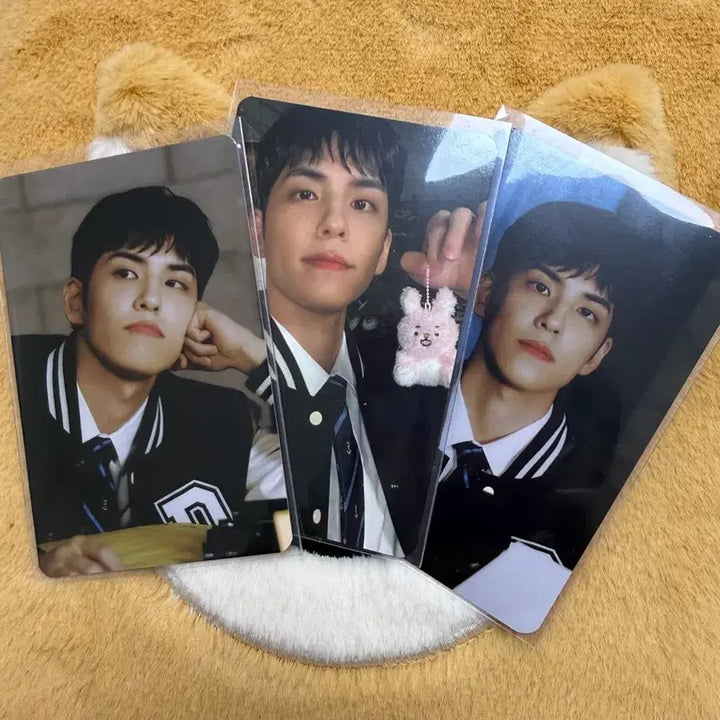 [BUNJANG] Day6 Wonpil Popup Binder Photocard Bundle Set / 데이식스 원필 팝업 바인더 포토카드 포카 3종 일괄