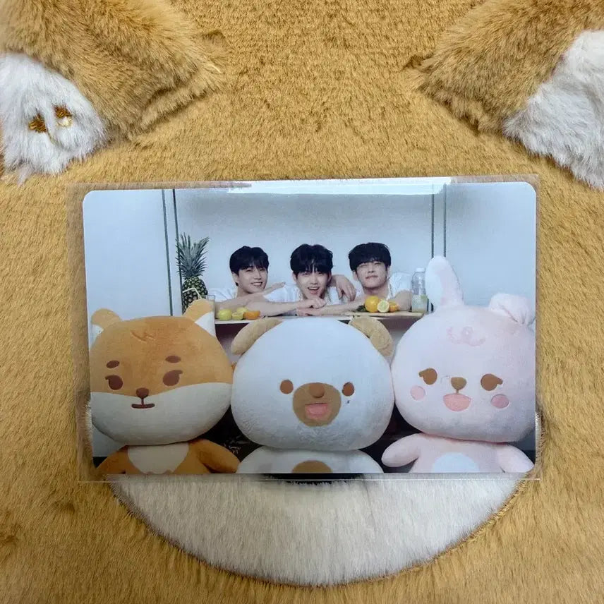 [BUNJANG] DAY6 Soulcup Unit EOD Photocard / 데이식스 소울컵 유닛 이오데 포카 포토카드