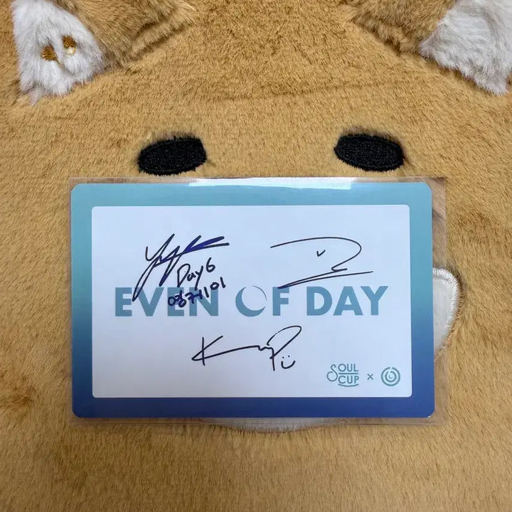 [BUNJANG] DAY6 Soulcup Unit EOD Photocard / 데이식스 소울컵 유닛 이오데 포카 포토카드