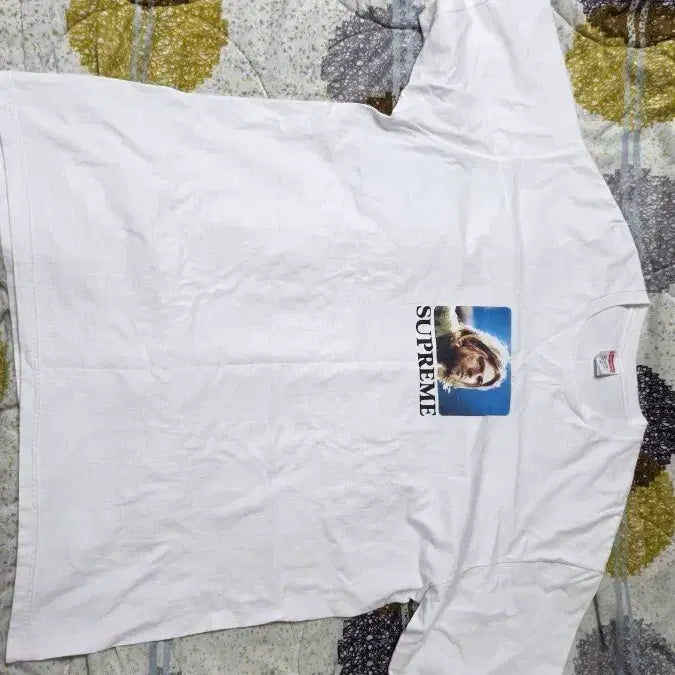[BUNJANG] Supreme Kurt Cobain Short Sleeve T-Shirt XL / 슈프림 커트 코베인 반팔 티셔츠 XL 판매