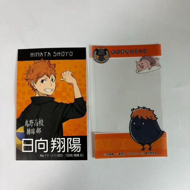 [BUNJANG] Haikyuu!! Shoyo Hinata Merchandise / 하이큐 히나타 쇼요 굿즈