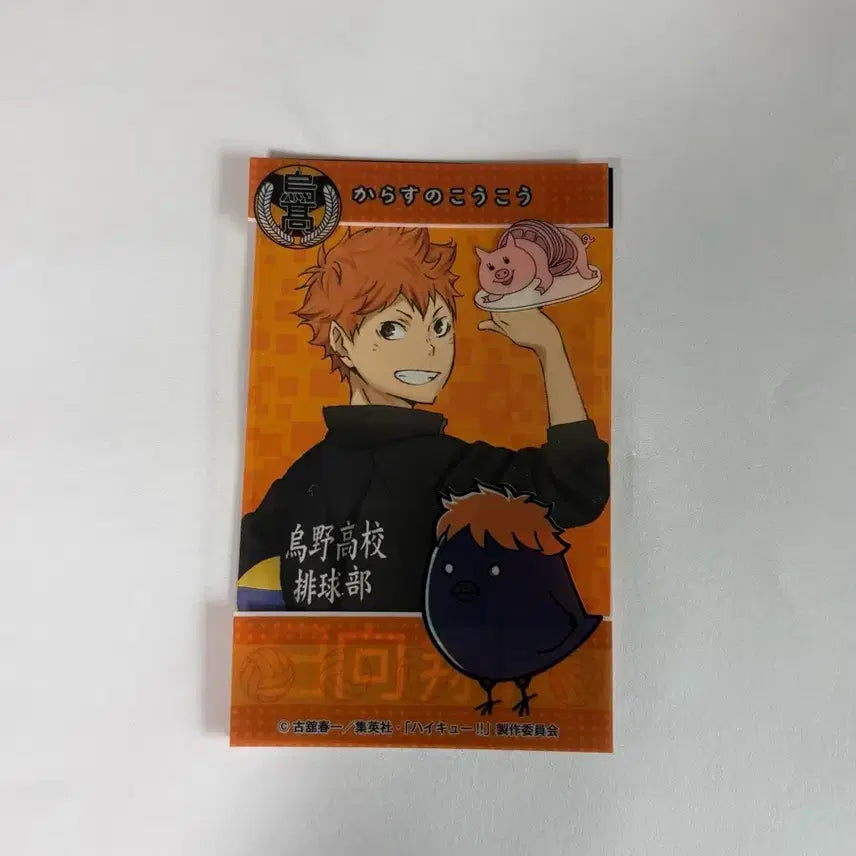 [BUNJANG] Haikyuu!! Shoyo Hinata Merchandise / 하이큐 히나타 쇼요 굿즈