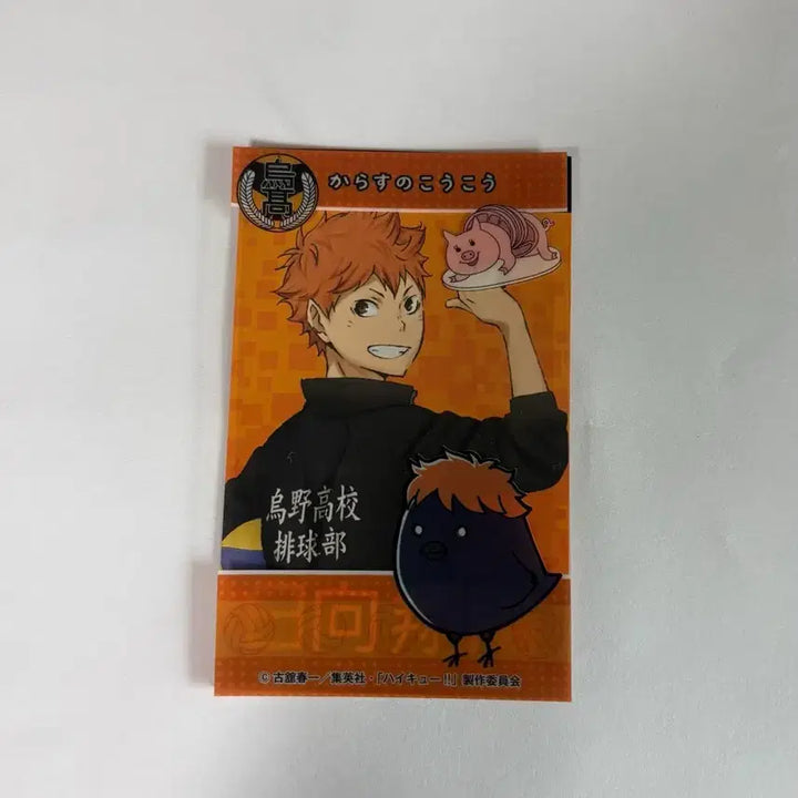[BUNJANG] Haikyuu!! Shoyo Hinata Merchandise / 하이큐 히나타 쇼요 굿즈