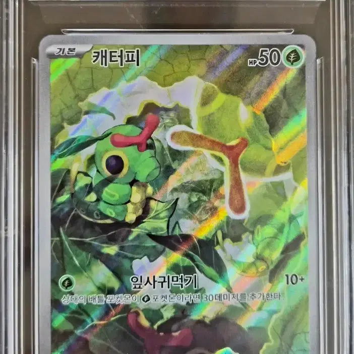 [BUNJANG] Pokemon Card Caterpie BRG10 / 포켓몬카드 캐터피 BRG10
