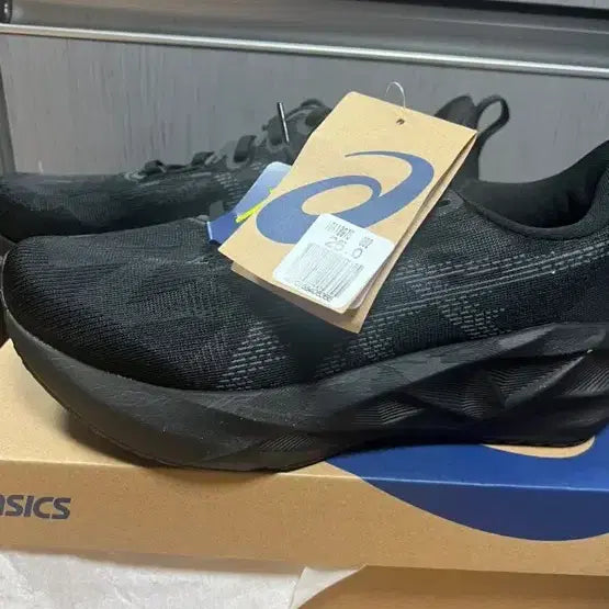 [BUNJANG] Asics NovaBlast 5 Running Shoes (250mm) / 아식스 노바블라스트5 250 새상품팔아요