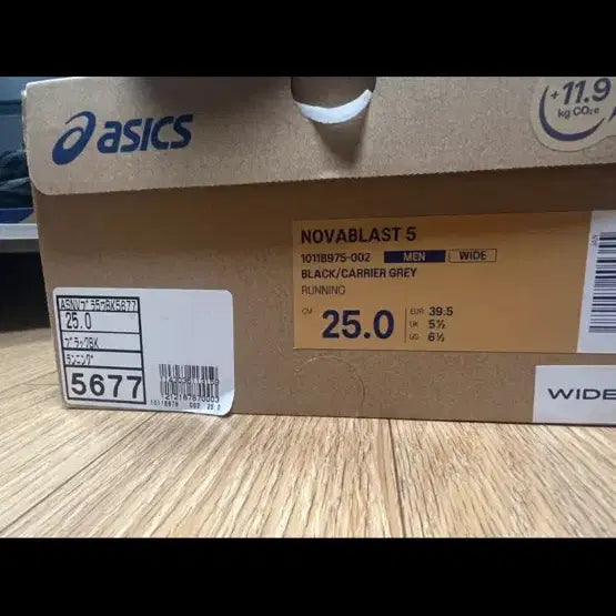 [BUNJANG] Asics NovaBlast 5 Running Shoes (250mm) / 아식스 노바블라스트5 250 새상품팔아요
