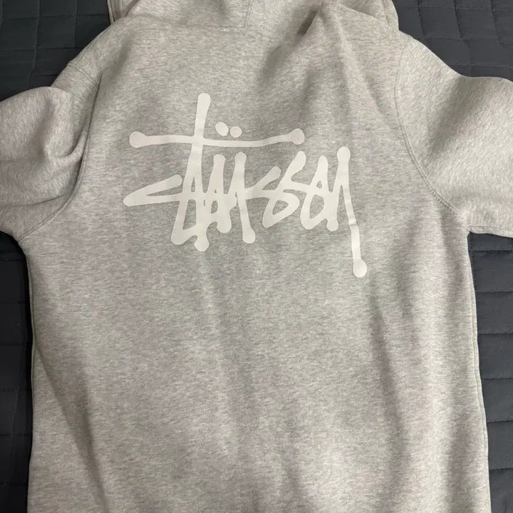 [BUNJANG] Stussy Hoodie Zip-Up / 스투시 후드 집업