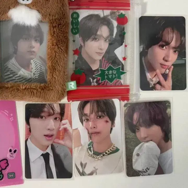 [BUNJANG] NCT Haechan Photocard Bundle Set / 엔시티 해찬 포카 굿즈 일괄 양도 처분 햇가사리 왕곰도 롱효기 포토북