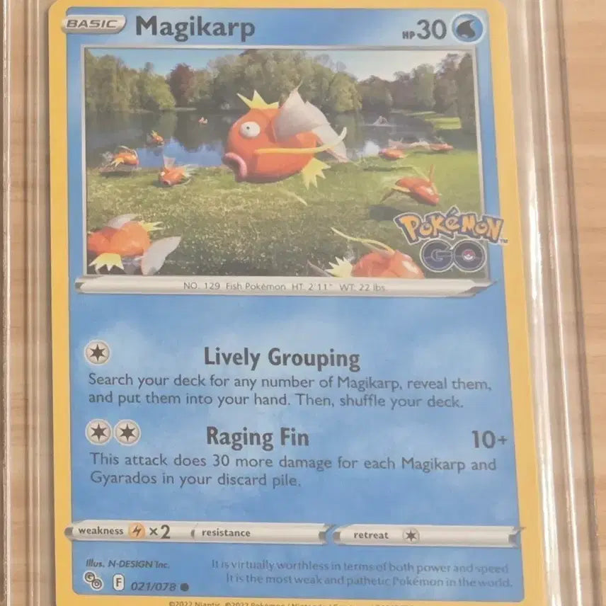 [BUNJANG] Pokemon GO Magikarp Card (North American Edition) / 포켓몬고 잉어킹 카드 북미판