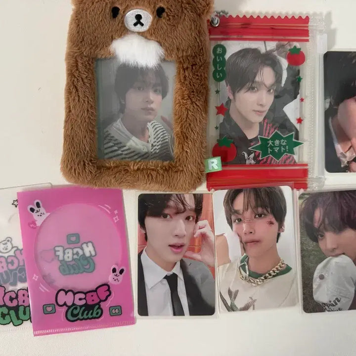 [BUNJANG] NCT Haechan Bundle Set Photocard (Padded Haechan, China Taste) / 엔시티 해찬 포카 일괄 양도 진동차이나 테이스트 시그 티셔츠 엠디 드림