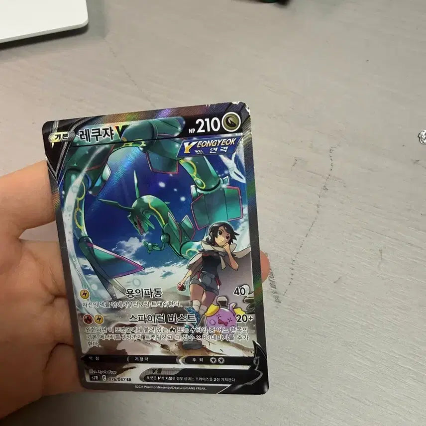 [BUNJANG] Rayquaza V Special Edition / 레쿠쟈 v특일