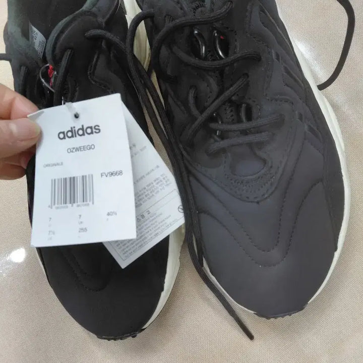 [BUNJANG] Adidas Running Shoes / 아디다스신발255