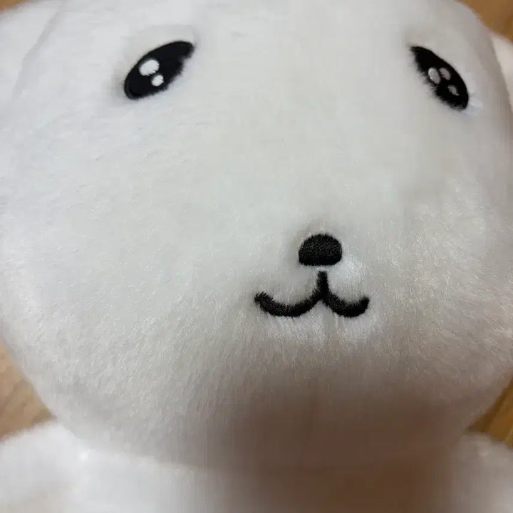 [BUNJANG] Ganadi Medium Plush Doll / 새상품) 나안아 가나디 중형 인형
