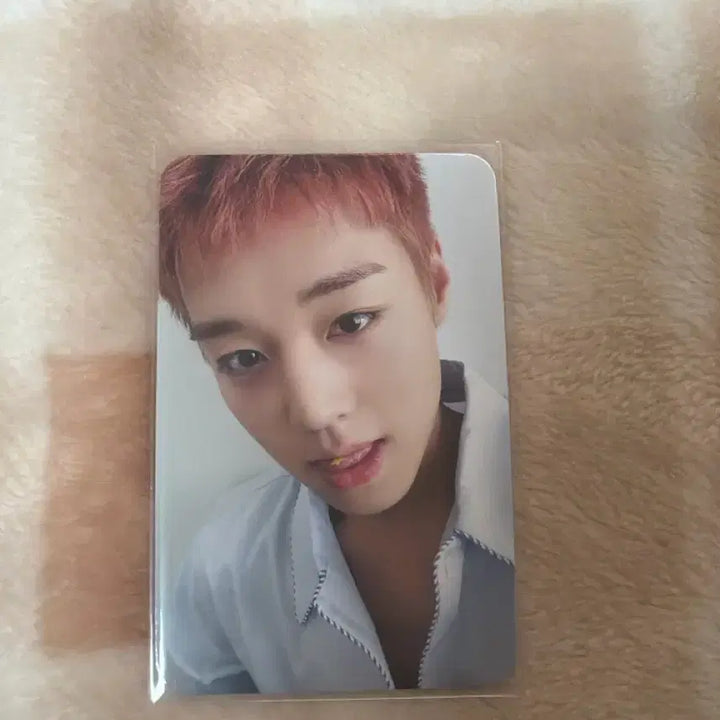 [BUNJANG] Park Ji Hoon Music &amp; Drama POB Photocard / 박지훈 뮤직앤드라마 미공포 포카