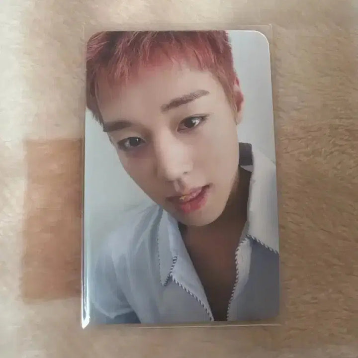 [BUNJANG] Park Ji Hoon Music &amp; Drama POB Photocard / 박지훈 뮤직앤드라마 미공포 포카