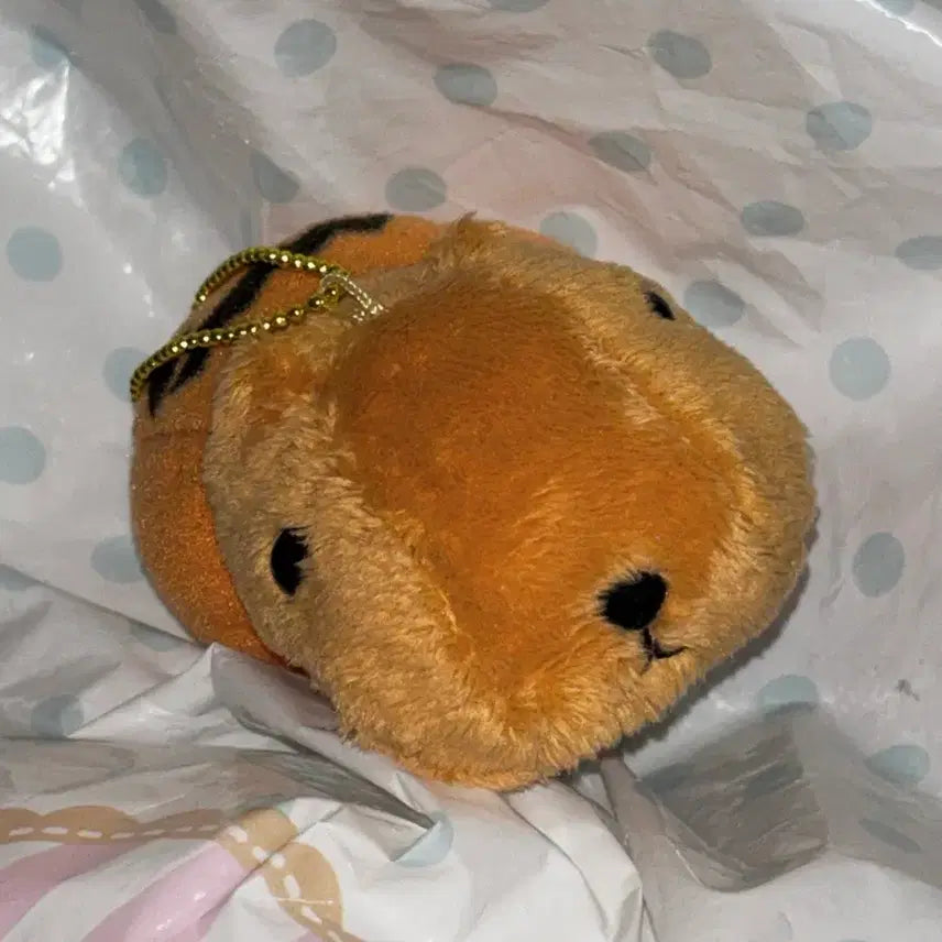 [BUNJANG] Capybara Halloween Classic Mascot Doll / 카피바라상 할로윈 고전 마스코트