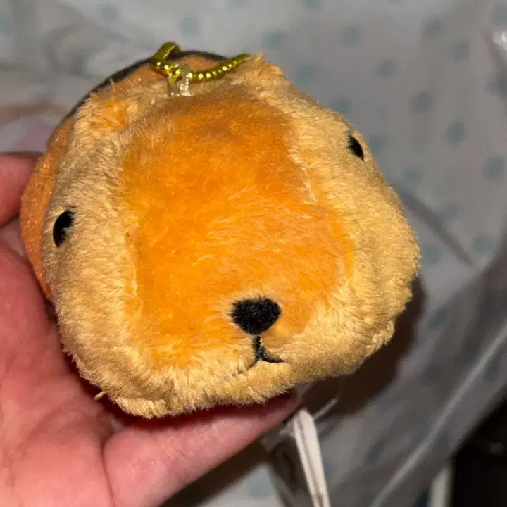 [BUNJANG] Capybara Halloween Classic Mascot Doll / 카피바라상 할로윈 고전 마스코트