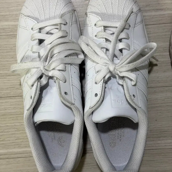[BUNJANG] Assorted Athletic Footwear - Sizes 250-255 / 나이키 아디다스 온러닝 호카 푸마 뉴발란스 조던 250-255